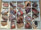 Polished On One Side Red Sashe River Agate Nodules x 20 From Zimbabwe - Toprock Gemstones and Minerals 