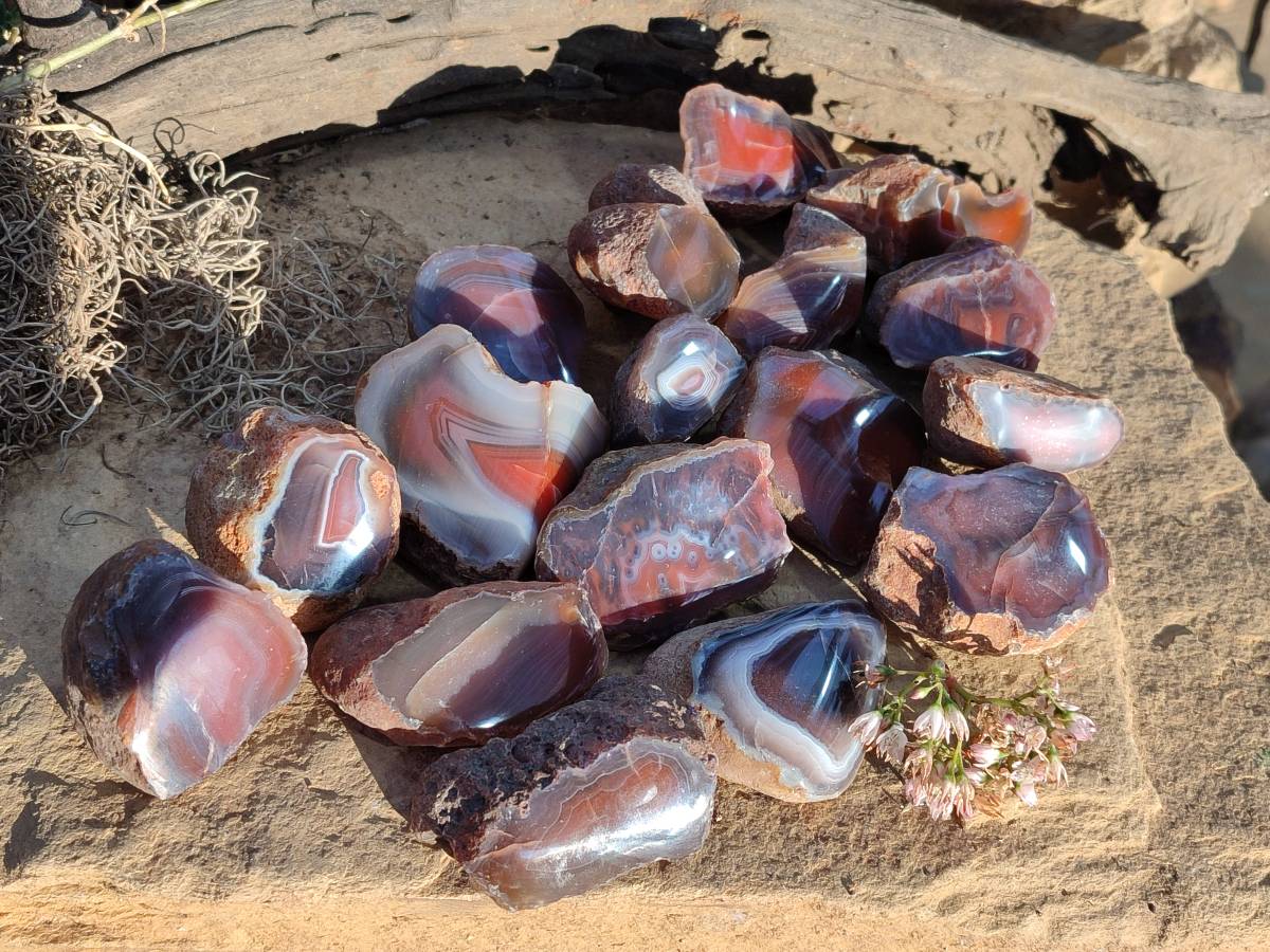 Polished On One Side Red Sashe River Agate Nodules x 20 From Zimbabwe - Toprock Gemstones and Minerals 