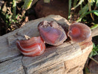 Polished On One Side Red Sashe River Agate Nodules x 20 From Zimbabwe - Toprock Gemstones and Minerals 