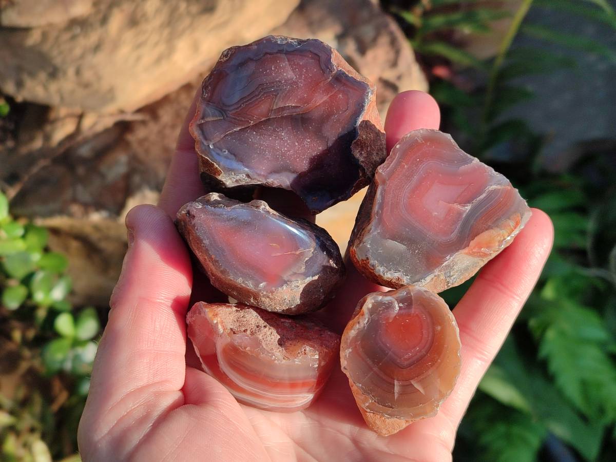 Polished On One Side Red Sashe River Agate Nodules x 20 From Zimbabwe - Toprock Gemstones and Minerals 