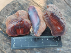 Polished On One Side Red Sashe River Agate Nodules x 20 From Zimbabwe - Toprock Gemstones and Minerals 