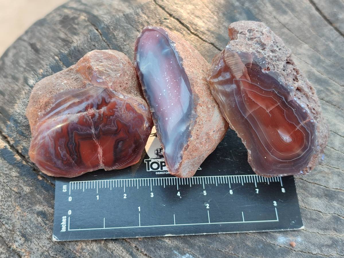 Polished On One Side Red Sashe River Agate Nodules x 20 From Zimbabwe - Toprock Gemstones and Minerals 