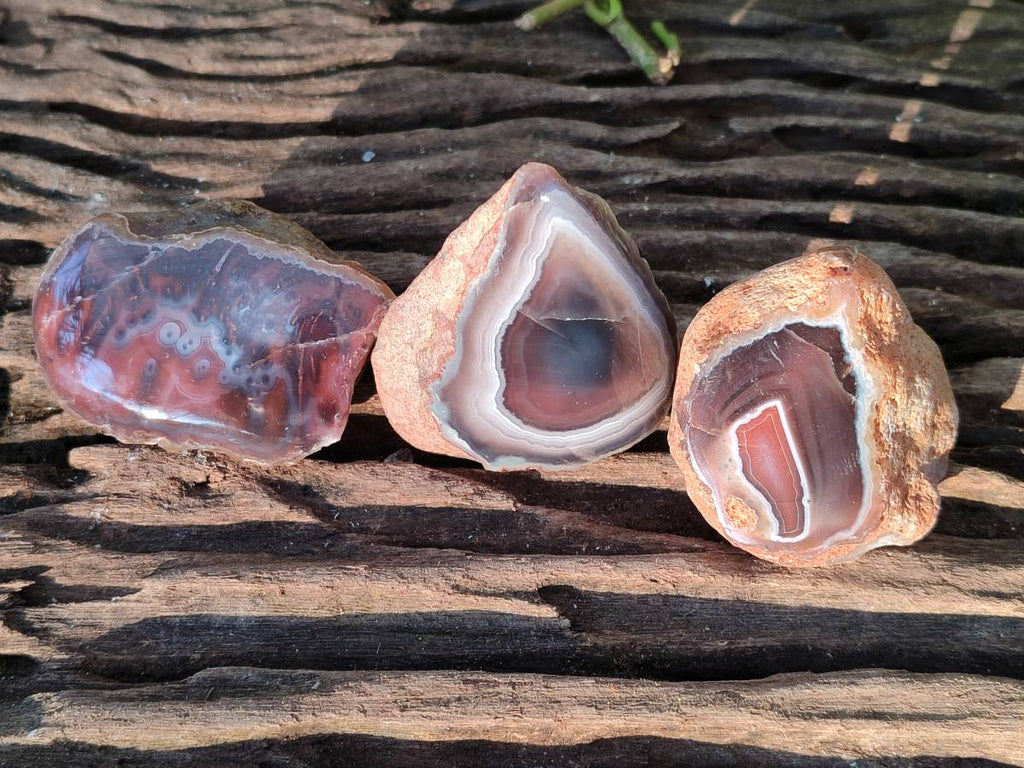 Polished On One Side Red Sashe River Agate Nodules x 20 From Zimbabwe - Toprock Gemstones and Minerals 
