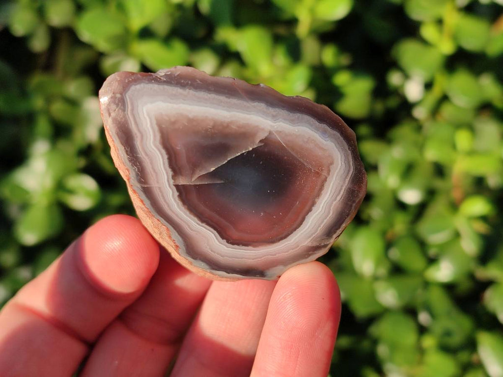 Polished On One Side Red Sashe River Agate Nodules x 20 From Zimbabwe - Toprock Gemstones and Minerals 