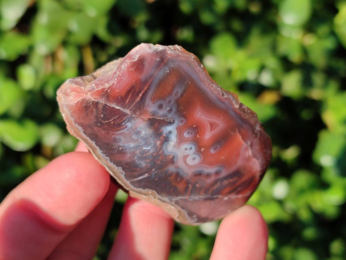 Polished On One Side Red Sashe River Agate Nodules x 20 From Zimbabwe - Toprock Gemstones and Minerals 