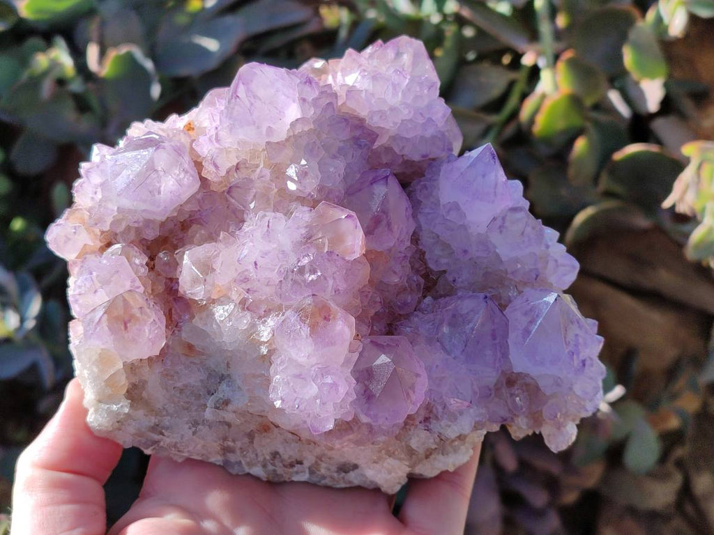 Natural Sunburst Amethyst Spirit Quartz Clusters x 2 From Boekenhouthoek, South Africa - Toprock Gemstones and Minerals 