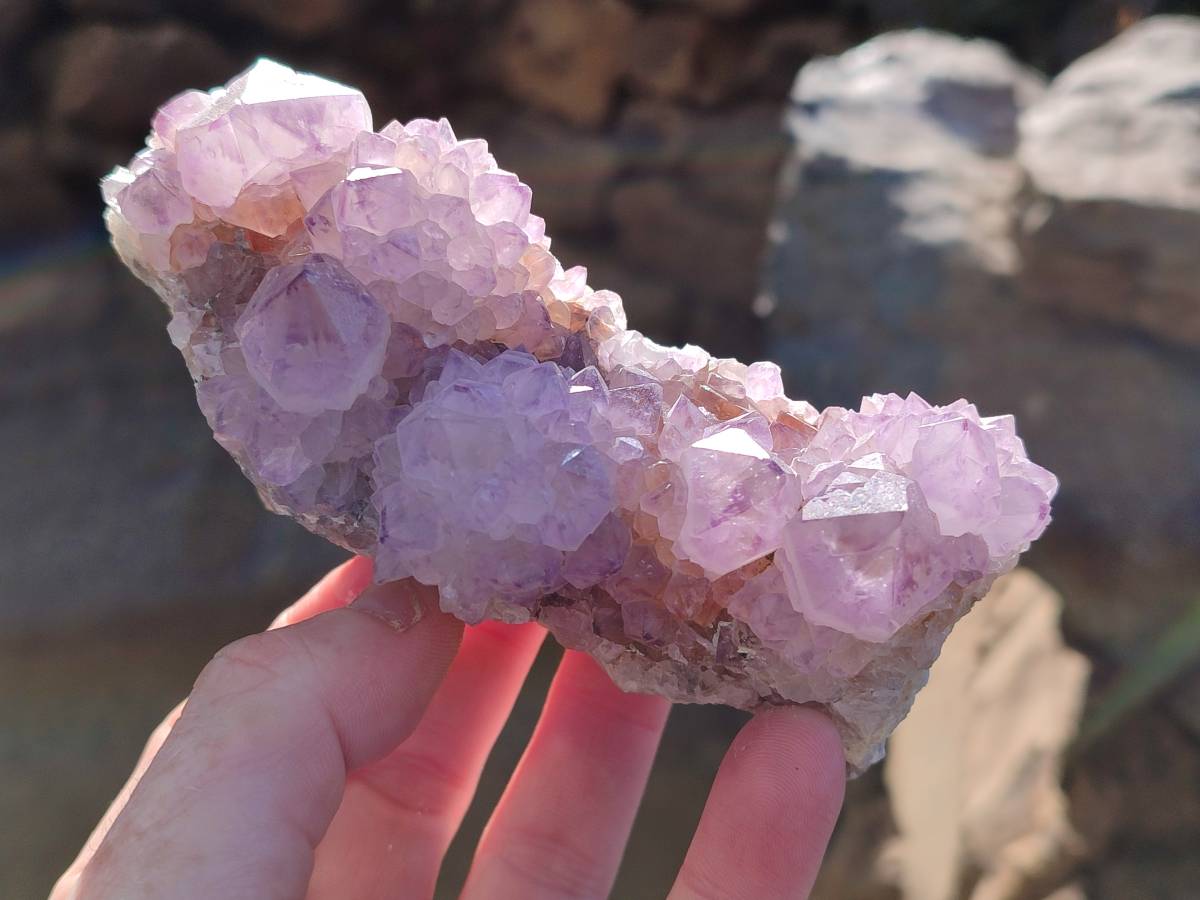 Natural Sunburst Amethyst Spirit Quartz Clusters x 2 From Boekenhouthoek, South Africa - Toprock Gemstones and Minerals 