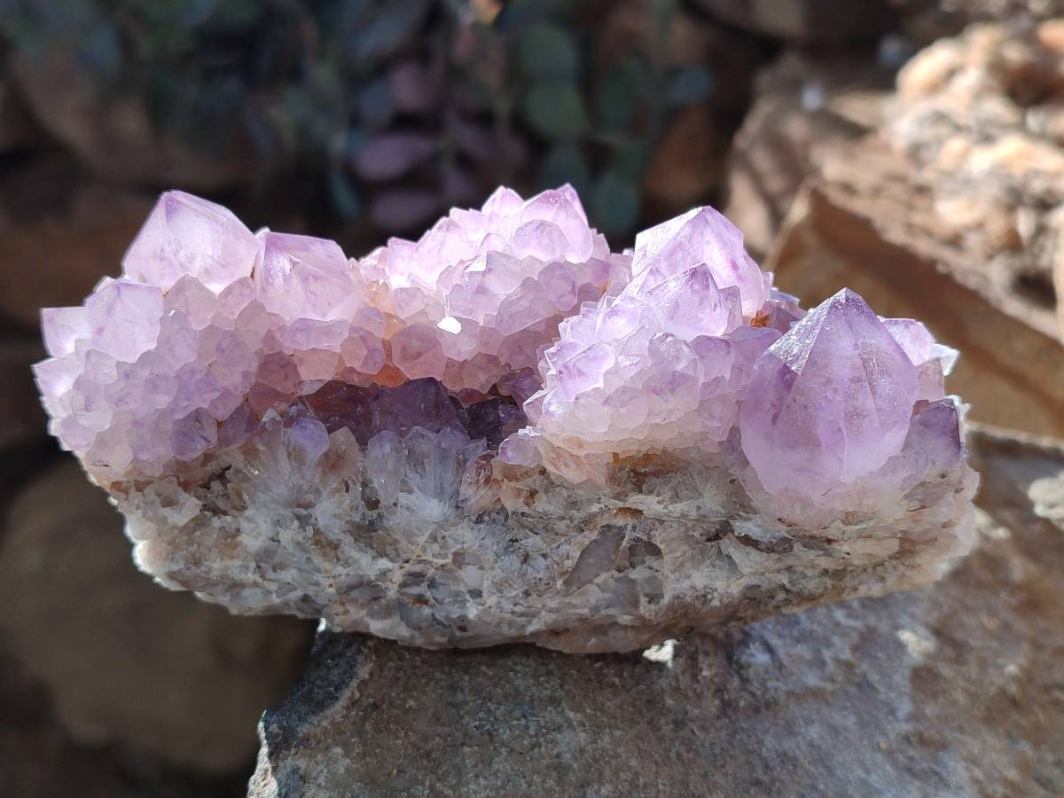 Natural Sunburst Amethyst Spirit Quartz Clusters x 2 From Boekenhouthoek, South Africa - Toprock Gemstones and Minerals 