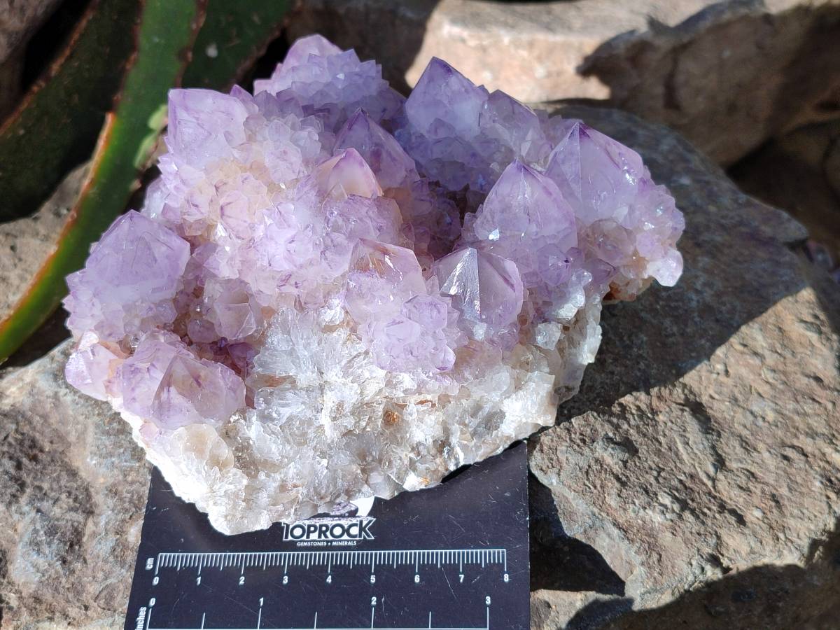 Natural Sunburst Amethyst Spirit Quartz Clusters x 2 From Boekenhouthoek, South Africa - Toprock Gemstones and Minerals 