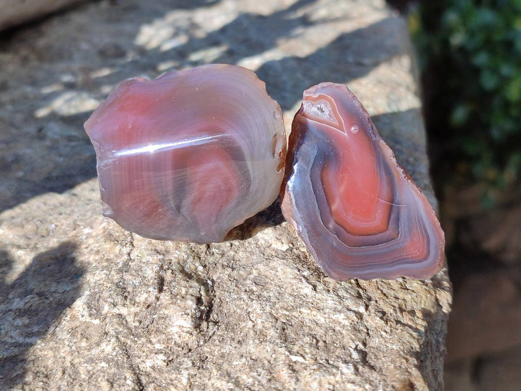 Polished On One Side Red Sashe River Agate Nodules x 20 From Zimbabwe - Toprock Gemstones and Minerals 