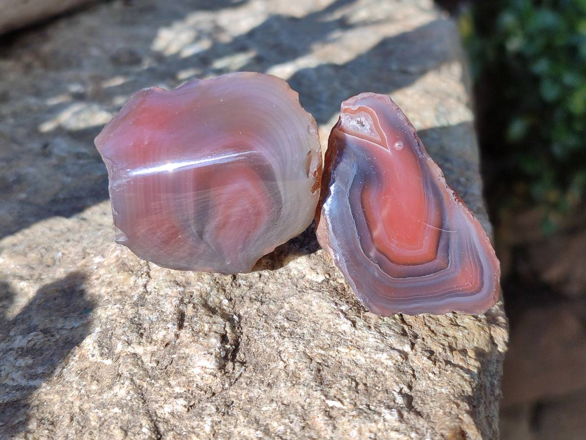 Polished On One Side Red Sashe River Agate Nodules x 20 From Zimbabwe - Toprock Gemstones and Minerals 