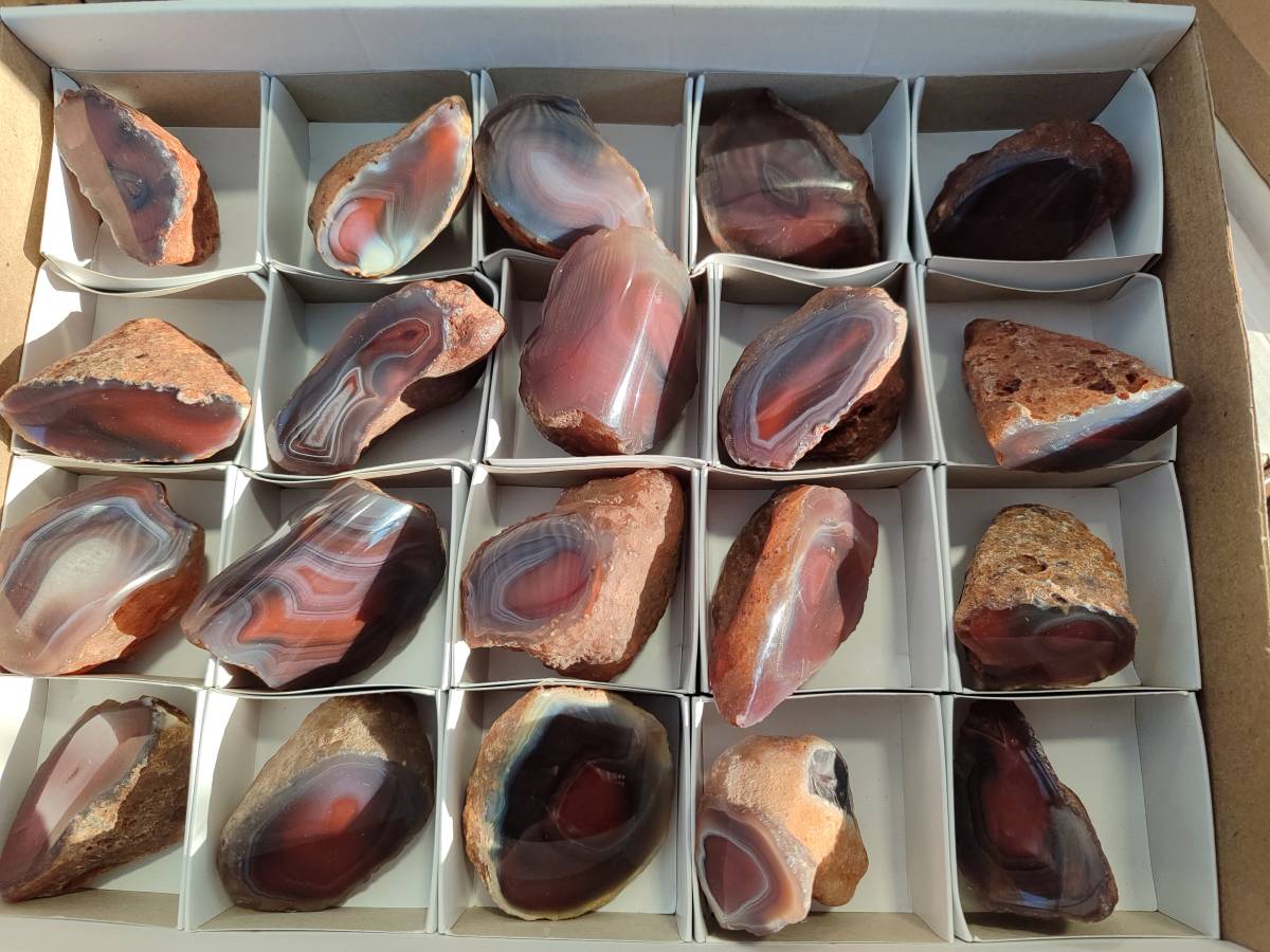 Polished On One Side Red Sashe River Agate Nodules x 20 From Zimbabwe - Toprock Gemstones and Minerals 