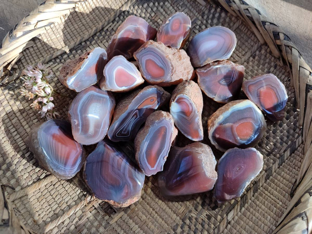 Polished On One Side Red Sashe River Agate Nodules x 20 From Zimbabwe - Toprock Gemstones and Minerals 