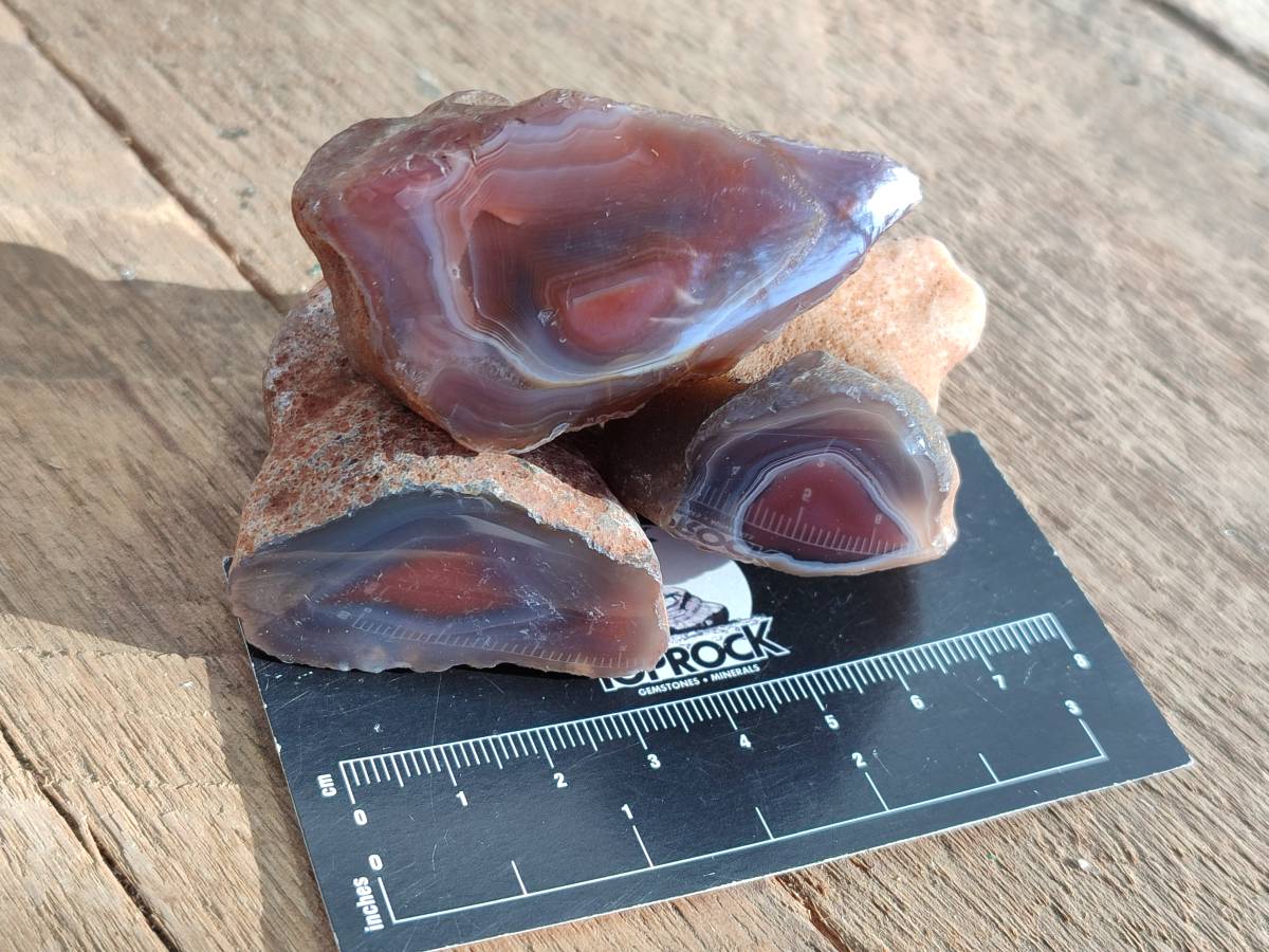 Polished On One Side Red Sashe River Agate Nodules x 20 From Zimbabwe - Toprock Gemstones and Minerals 