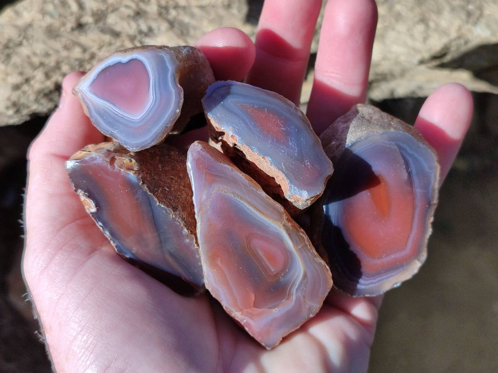 Polished On One Side Red Sashe River Agate Nodules x 20 From Zimbabwe - Toprock Gemstones and Minerals 