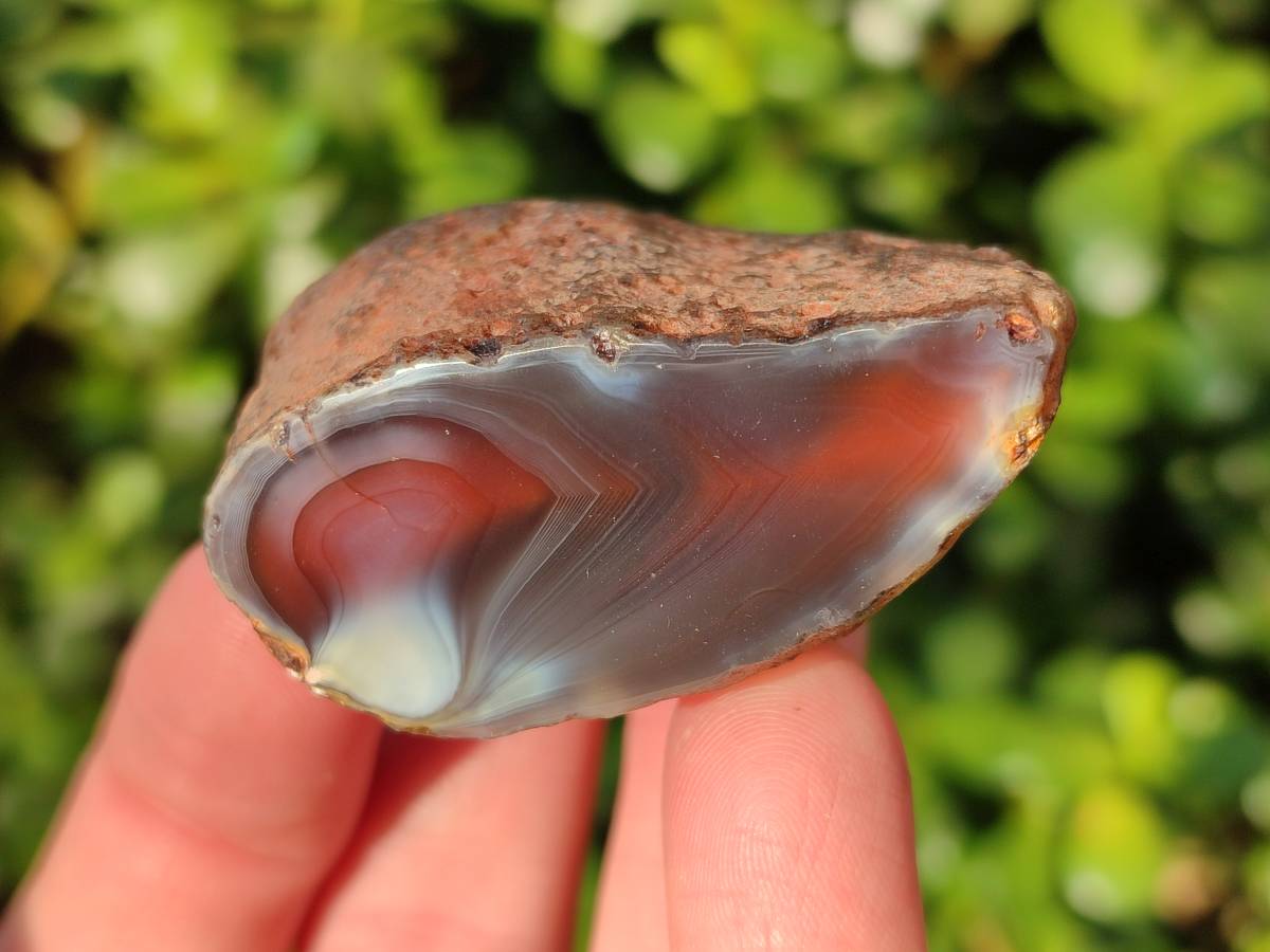 Polished On One Side Red Sashe River Agate Nodules x 20 From Zimbabwe - Toprock Gemstones and Minerals 