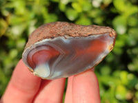 Polished On One Side Red Sashe River Agate Nodules x 20 From Zimbabwe - Toprock Gemstones and Minerals 