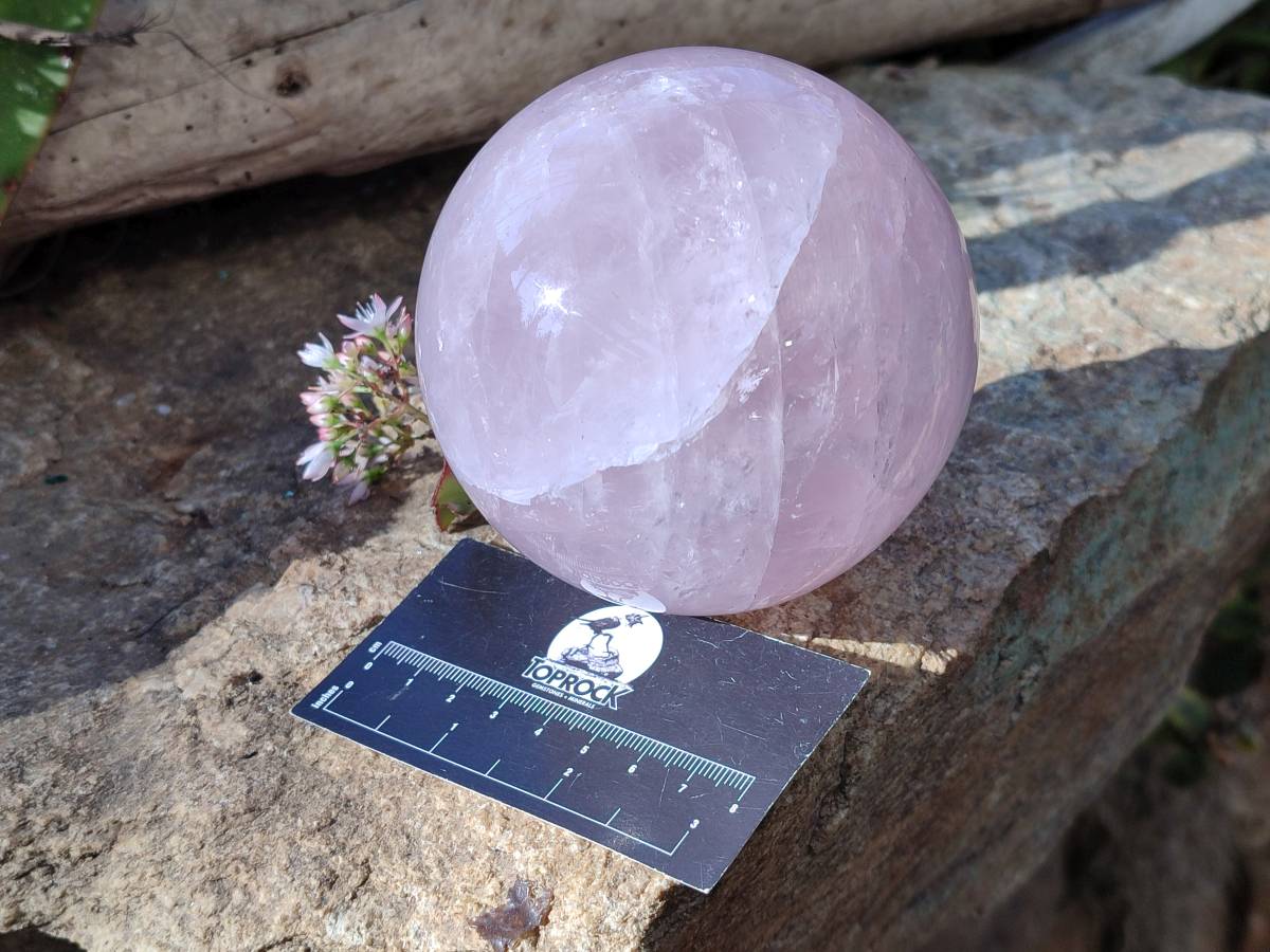 Polished Rose Quartz Sphere x 1 From Madagascar - Toprock Gemstones and Minerals 