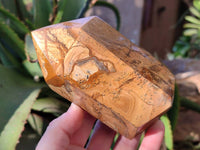 Polished Picture Stone Jasper Points x 2 From Ais-Ais, Namibia - Toprock Gemstones and Minerals 