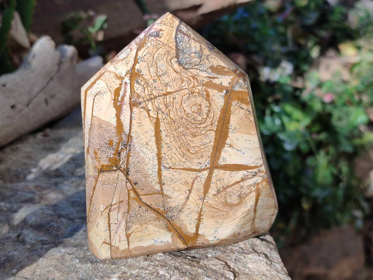 Polished Picture Stone Jasper Points x 2 From Ais-Ais, Namibia - Toprock Gemstones and Minerals 