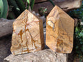 Polished Picture Stone Jasper Points x 2 From Ais-Ais, Namibia - Toprock Gemstones and Minerals 