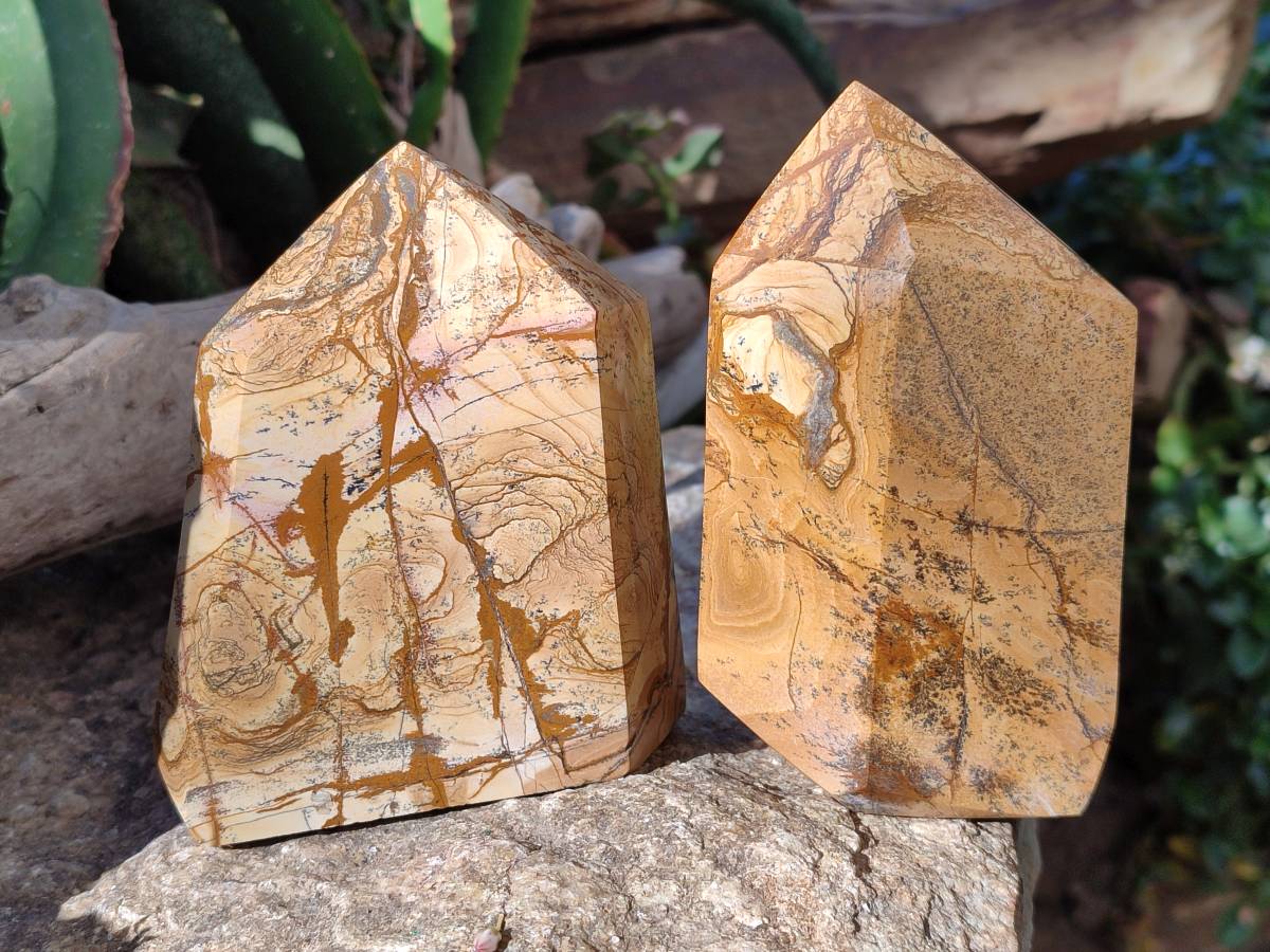 Polished Picture Stone Jasper Points x 2 From Ais-Ais, Namibia - Toprock Gemstones and Minerals 