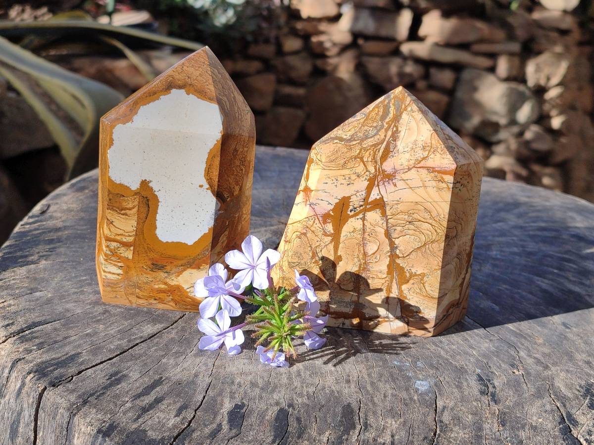Polished Picture Stone Jasper Points x 2 From Ais-Ais, Namibia - Toprock Gemstones and Minerals 