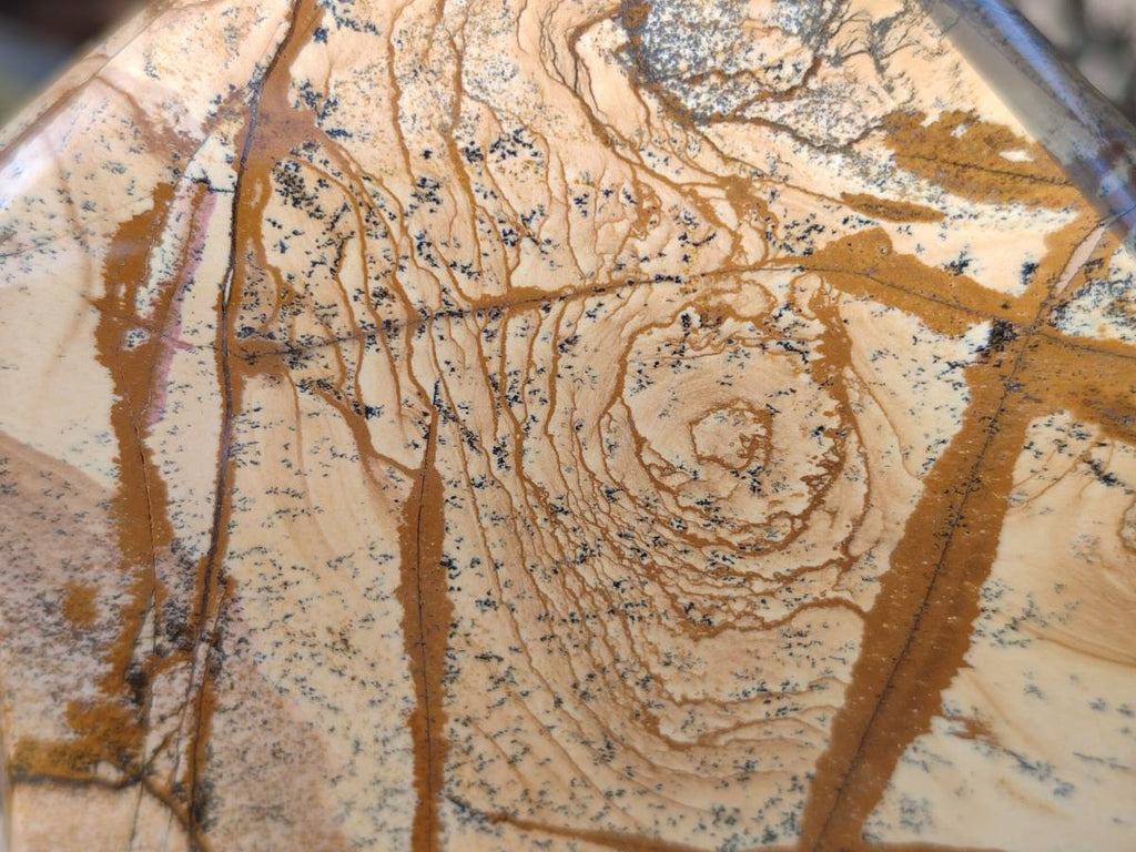 Polished Picture Stone Jasper Points x 2 From Ais-Ais, Namibia - Toprock Gemstones and Minerals 