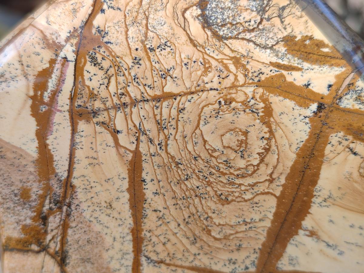 Polished Picture Stone Jasper Points x 2 From Ais-Ais, Namibia - Toprock Gemstones and Minerals 