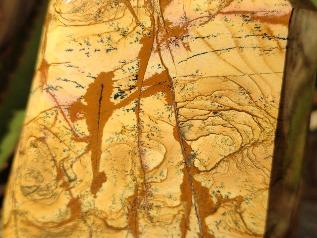 Polished Picture Stone Jasper Points x 2 From Ais-Ais, Namibia - Toprock Gemstones and Minerals 