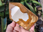 Polished Picture Stone Jasper Points x 2 From Ais-Ais, Namibia - Toprock Gemstones and Minerals 