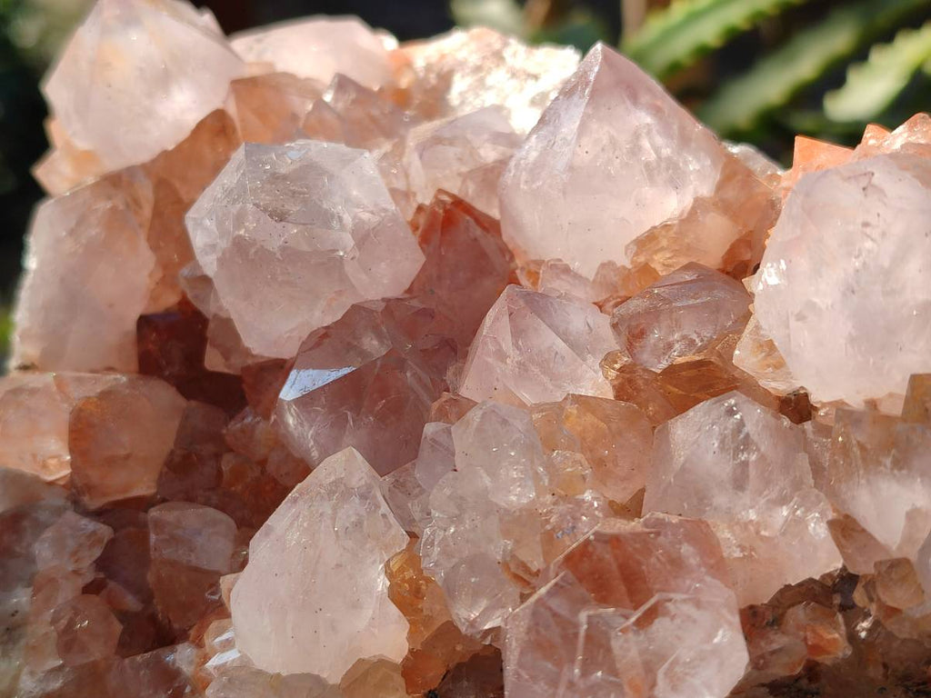 Natural Pair of Large Clear Pale Lilac & Orange Limonite Spirit Quartz Clusters x 2 From Boekenhouthoek, South Africa - Toprock Gemstones and Minerals 
