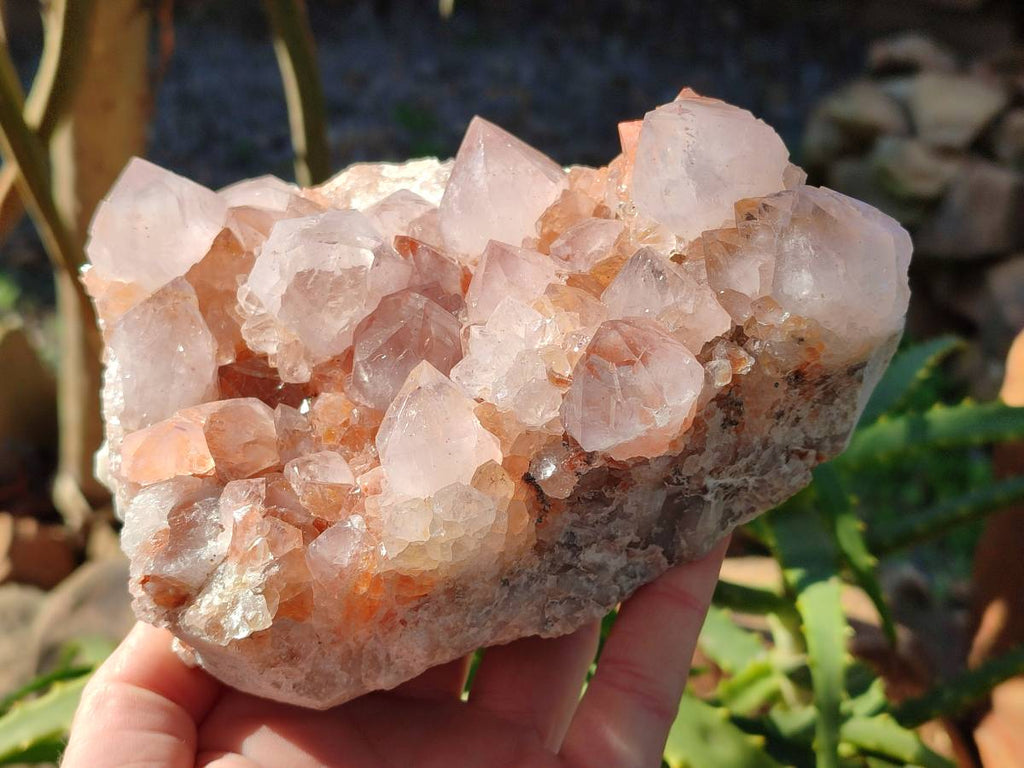 Natural Pair of Large Clear Pale Lilac & Orange Limonite Spirit Quartz Clusters x 2 From Boekenhouthoek, South Africa - Toprock Gemstones and Minerals 