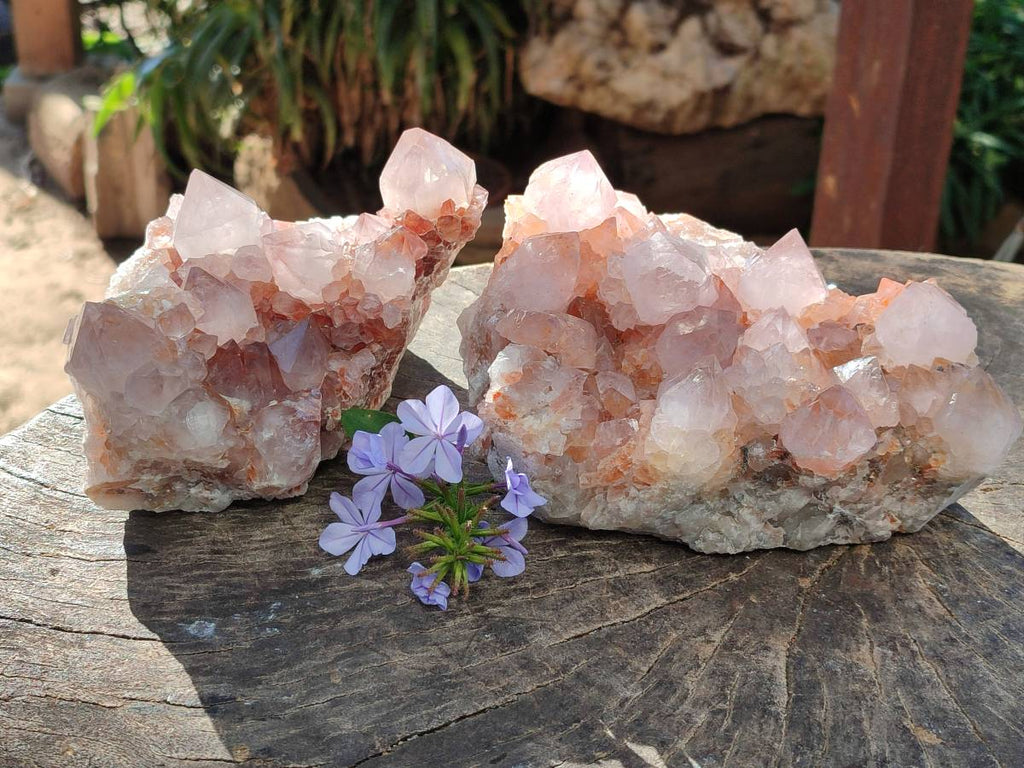 Natural Pair of Large Clear Pale Lilac & Orange Limonite Spirit Quartz Clusters x 2 From Boekenhouthoek, South Africa - Toprock Gemstones and Minerals 