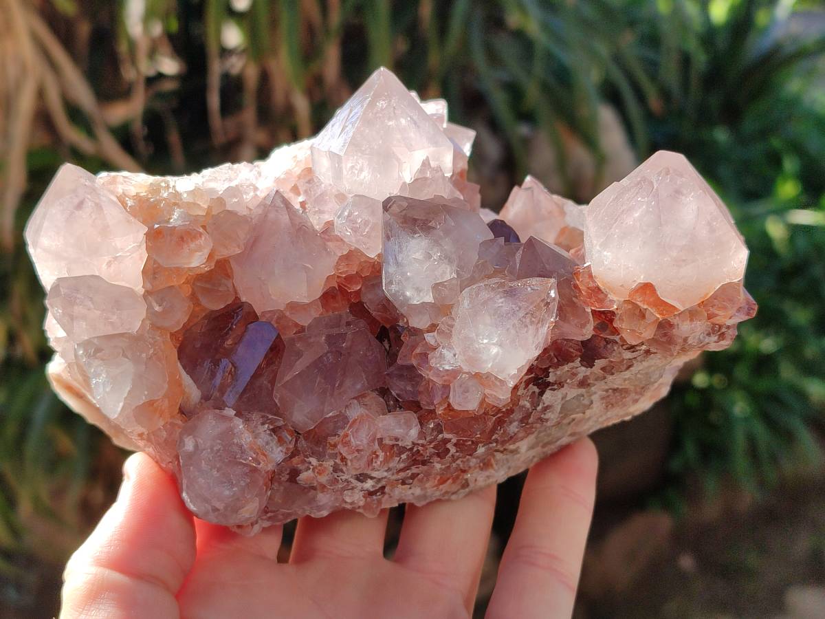 Natural Pair of Large Clear Pale Lilac & Orange Limonite Spirit Quartz Clusters x 2 From Boekenhouthoek, South Africa - Toprock Gemstones and Minerals 
