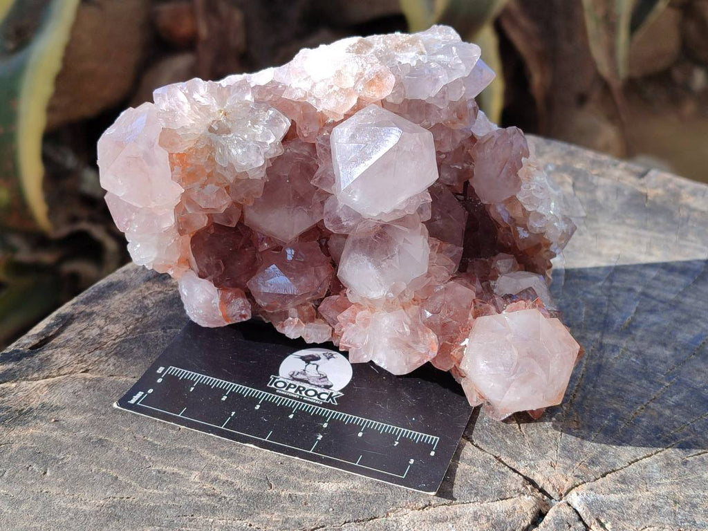Natural Pair of Large Clear Pale Lilac & Orange Limonite Spirit Quartz Clusters x 2 From Boekenhouthoek, South Africa - Toprock Gemstones and Minerals 