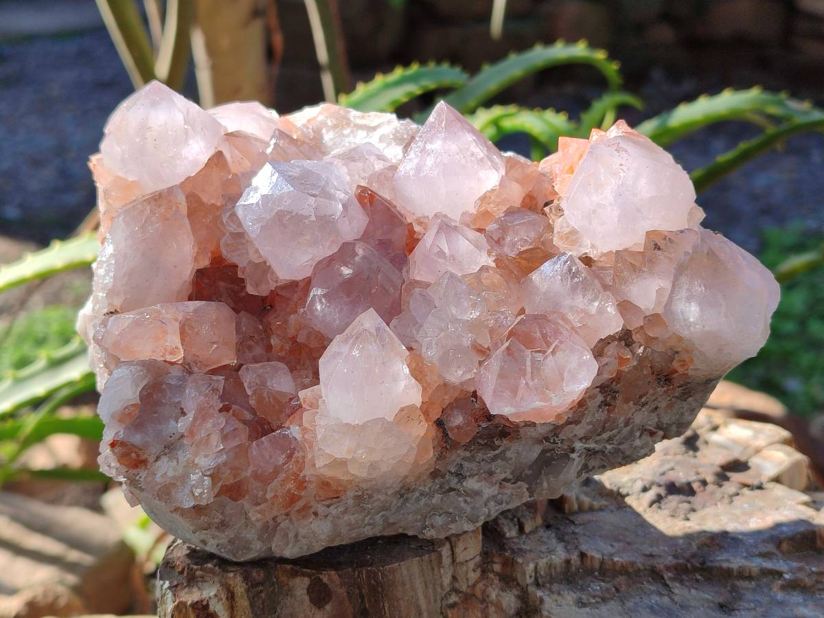Natural Pair of Large Clear Pale Lilac & Orange Limonite Spirit Quartz Clusters x 2 From Boekenhouthoek, South Africa - Toprock Gemstones and Minerals 