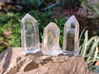 Polished Rainbow Veil Clear Quartz Crystals x 24 From Madagascar - Toprock Gemstones and Minerals 
