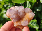 Natural Amethyst Spirit Quartz Clusters x 12 From Boekenhouthoek, South Africa - Toprock Gemstones and Minerals 