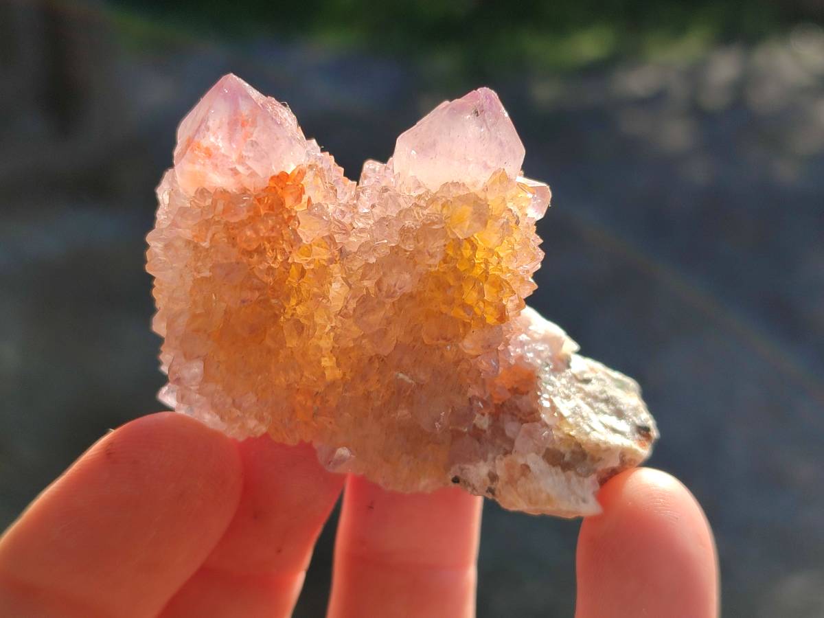 Natural Amethyst Spirit Quartz Clusters x 12 From Boekenhouthoek, South Africa - Toprock Gemstones and Minerals 