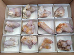 Natural Amethyst Spirit Quartz Clusters x 12 From Boekenhouthoek, South Africa - Toprock Gemstones and Minerals 