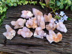 Natural Amethyst Spirit Quartz Clusters x 12 From Boekenhouthoek, South Africa - Toprock Gemstones and Minerals 