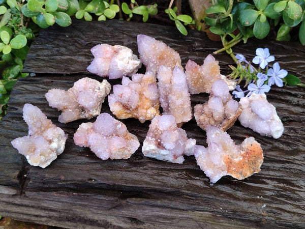 Natural Amethyst Spirit Quartz Clusters x 12 From Boekenhouthoek, South Africa