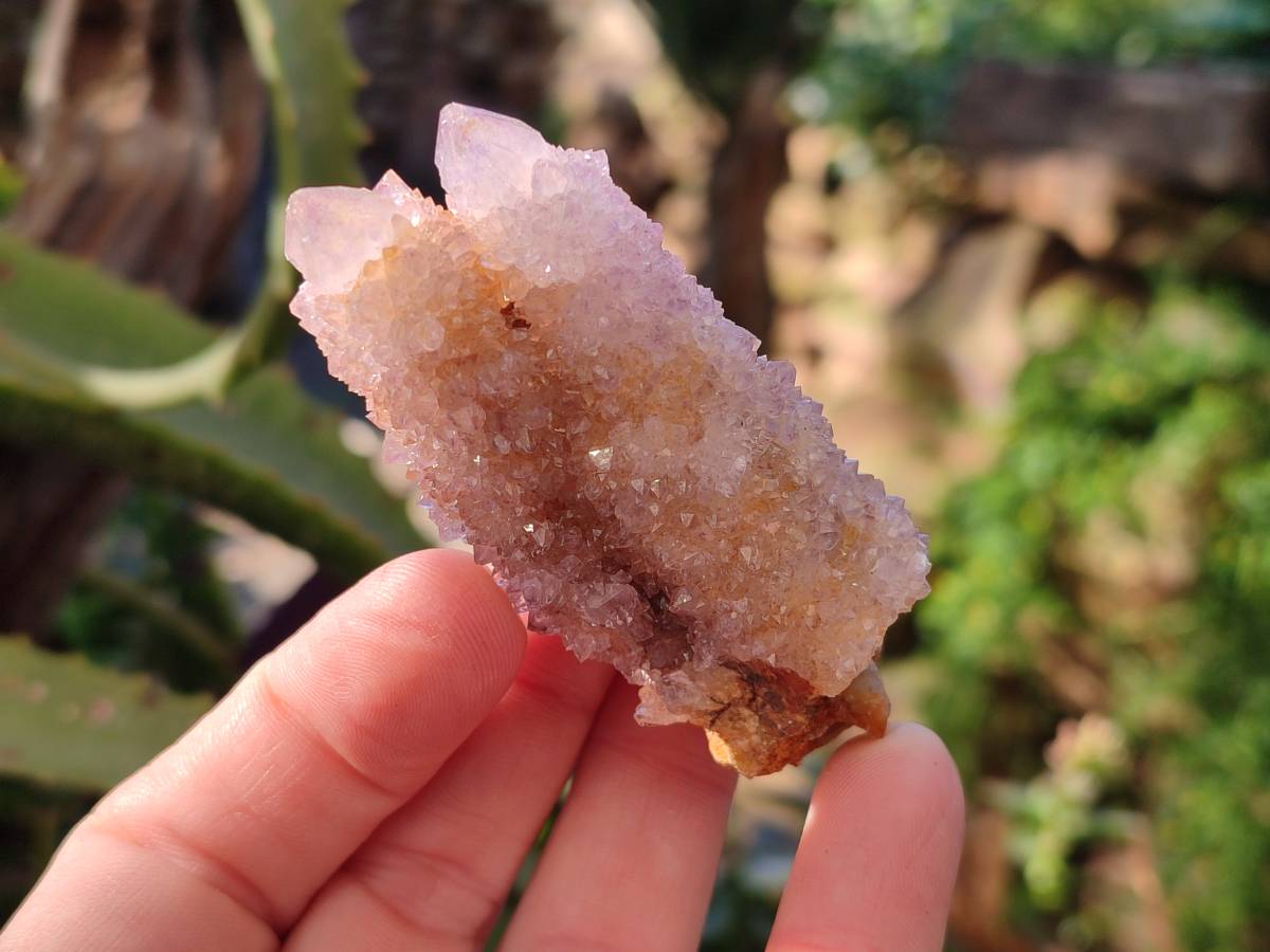 Natural Amethyst Spirit Quartz Clusters x 12 From Boekenhouthoek, South Africa - Toprock Gemstones and Minerals 