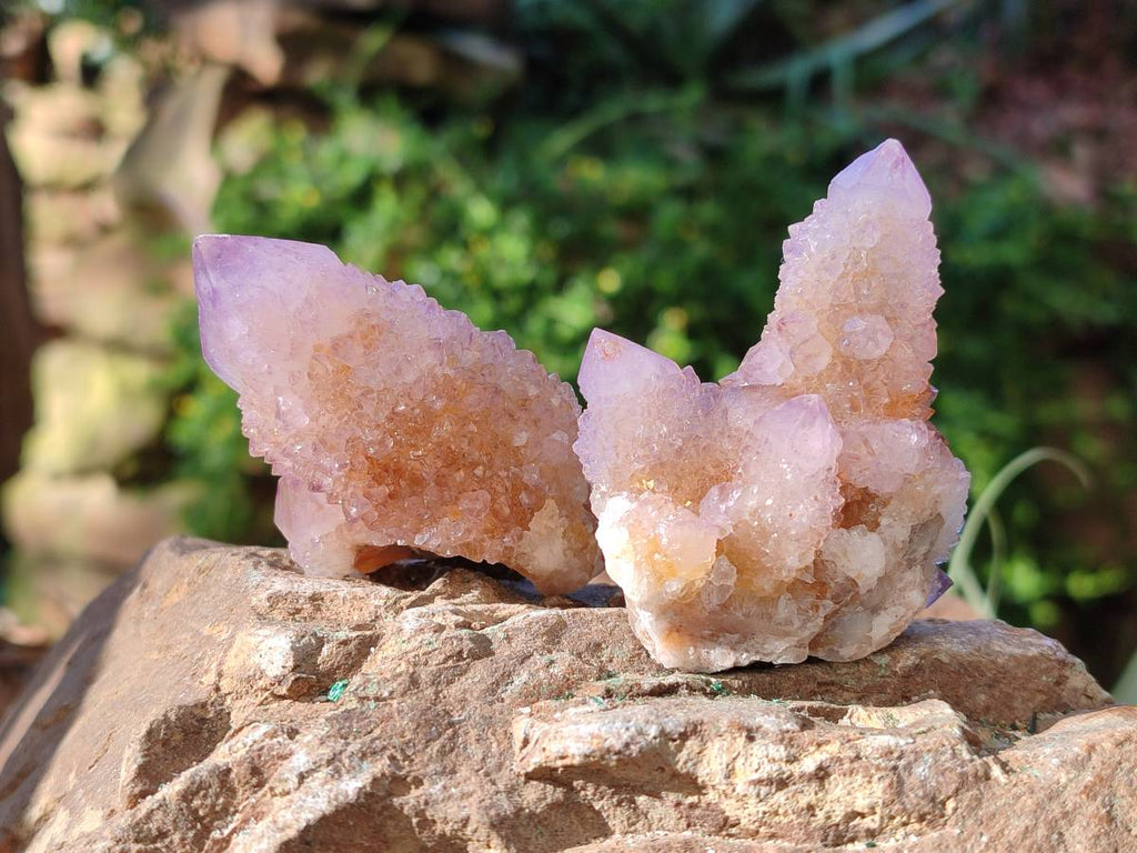 Natural Amethyst Spirit Quartz Clusters x 12 From Boekenhouthoek, South Africa - Toprock Gemstones and Minerals 