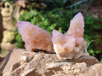 Natural Amethyst Spirit Quartz Clusters x 12 From Boekenhouthoek, South Africa - Toprock Gemstones and Minerals 