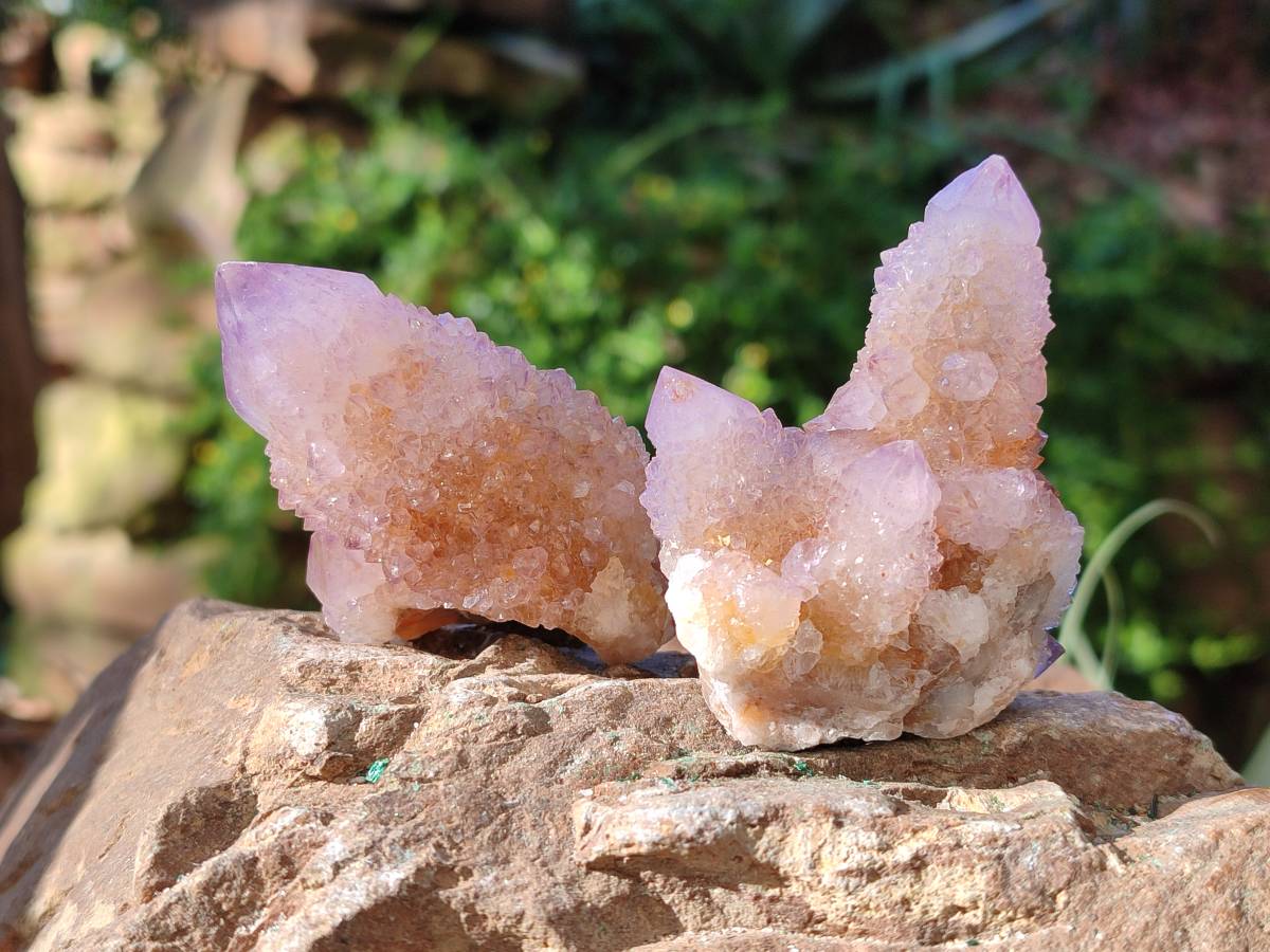 Natural Amethyst Spirit Quartz Clusters x 12 From Boekenhouthoek, South Africa - Toprock Gemstones and Minerals 