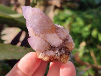 Natural Amethyst Spirit Quartz Clusters x 12 From Boekenhouthoek, South Africa - Toprock Gemstones and Minerals 