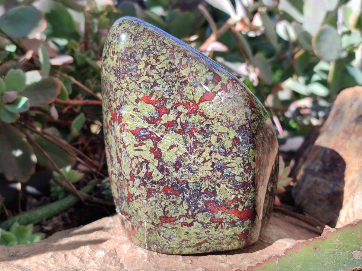 Polished Bastite Dragons Blood Standing Free Form x 1 From Tshipise, South Africa - Toprock Gemstones and Minerals 