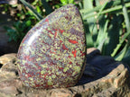 Polished Bastite Dragons Blood Standing Free Form x 1 From Tshipise, South Africa - Toprock Gemstones and Minerals 